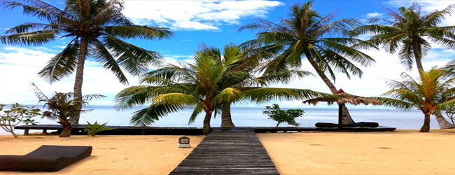 Island Dream Palm Paradise
