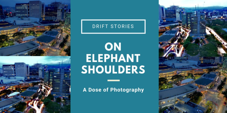 A Dose of Photography: On Elephant Shoulders