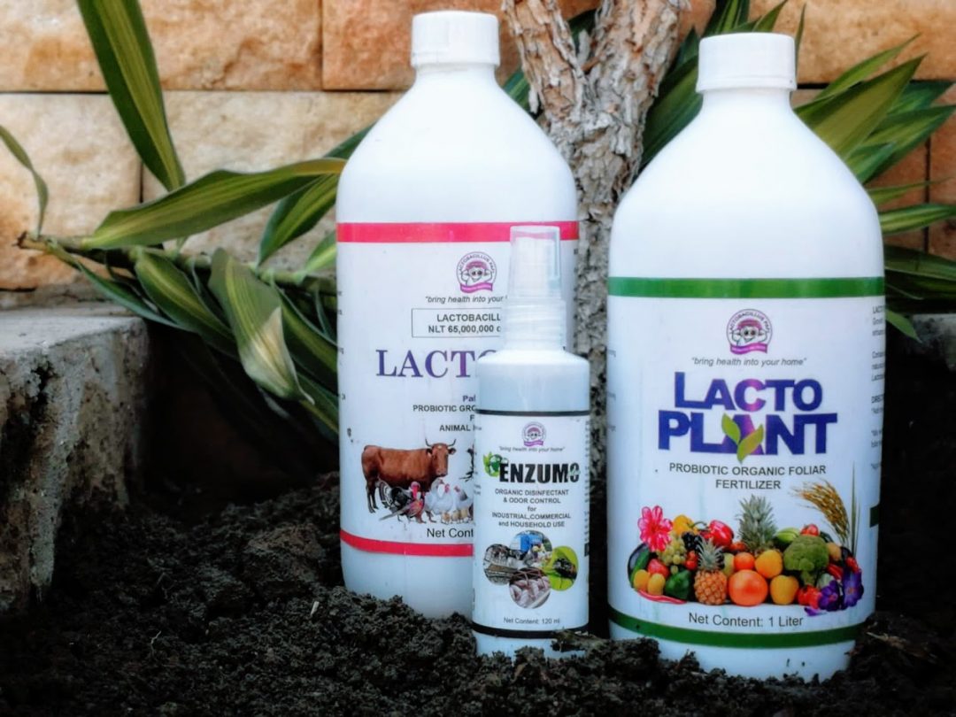 Pafi Ingenuity: Probiotics in Agriculture