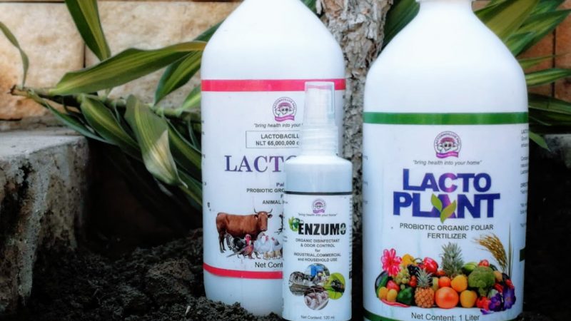 Pafi Ingenuity: Probiotics in Agriculture