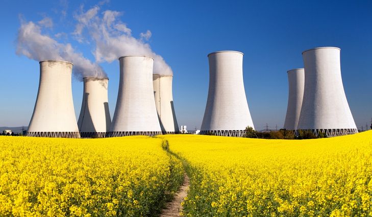 Nuclear Power Plant: Why Cebu Needs One