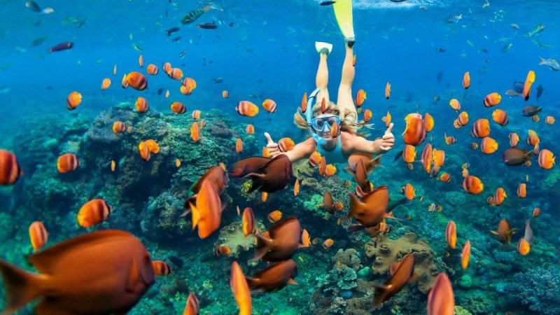 Four Top Tips for Snorkeling Beginners in Mauritius